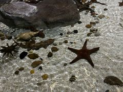 -福州罗源湾海洋世界旅游区