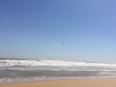 -日照海滨国家森林公园