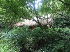 -中国茶叶博物馆(双峰馆区)