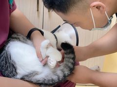 -芭比堂动物医院·犬猫全科·异宠专科(雁塔分院)