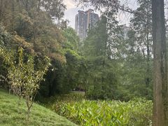 -重庆彩云湖湿地公园
