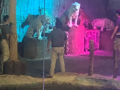 -清迈夜间动物园