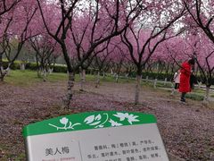-白塘生态植物园
