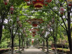 -洛阳市隋唐城遗址植物园