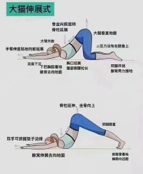 点击看大图 -昕孕瑜伽·孕妇瑜伽·产后修复