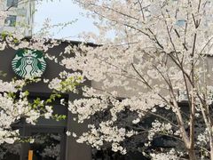 -玛格萝妮比萨屋(四平店)
