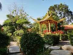 -大屏嶂森林公园