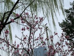 -石湖景区