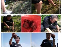 -乡乐园蟹庄·阳澄湖农家乐