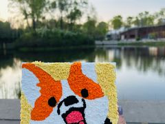 -群力丁香公园