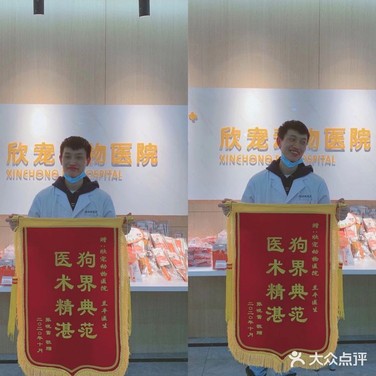一家有温度的宠物医院🐈欣宠宠物🦮