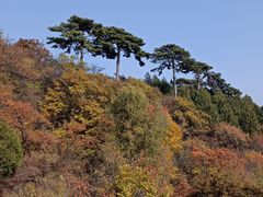 -妙峰山风景名胜区