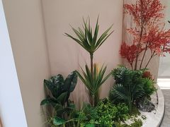 -桐乡植物园