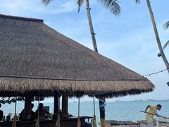 -Coco Tam’s
