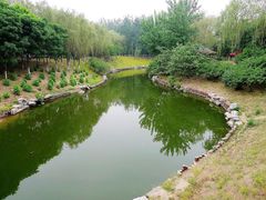 -大兴滨河森林公园