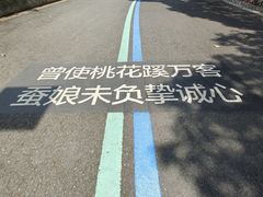 -杭州半山国家森林公园