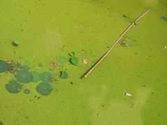-三国赤壁古战场