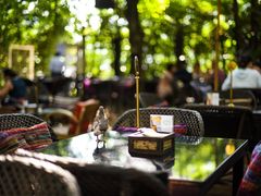 大堂-Fern Forest Cafe