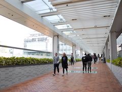 -香港大学