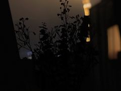 -花神咖啡馆