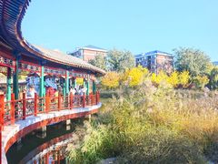 -西海子公园