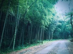 -黄公望隐居地