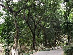 -龙头寺公园