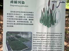 -同里国家湿地公园