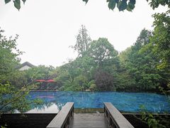 -杭州西子湖四季酒店-WL BISTRO西湖餐厅(灵隐路店)