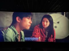 -汉阳天河电影城(王家湾店)