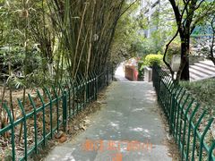 -素清香(解放路店)