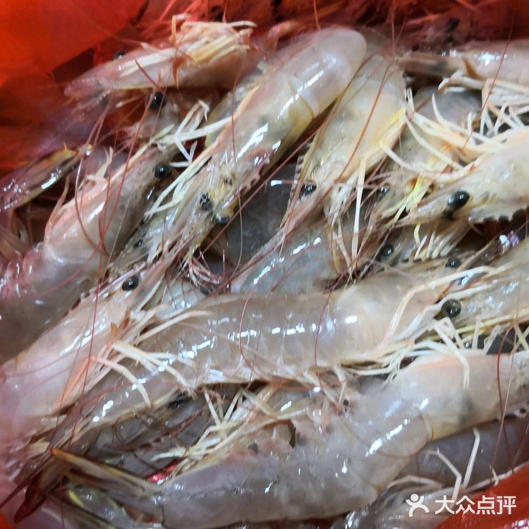 金厢赶海记