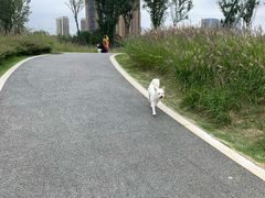 -府河摄影公园