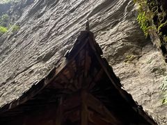 -武陵山森林公园