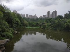 -龙头寺公园
