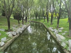 -大望京公园