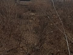 -富斯特索道