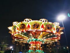 -锦江乐园舞狸花花游园会(夜场专享)