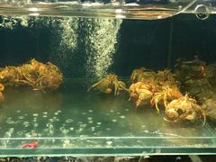 -海味当家·蒸锅海鲜(中山广场创始店)