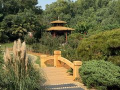 -东湖落雁景区
