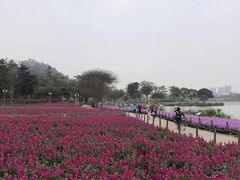 -顺峰山公园