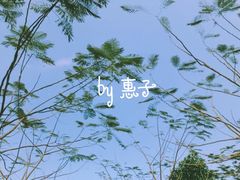-白沙门生态公园