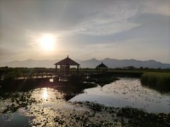 -哈素海