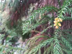 -华南国家植物园-售票处