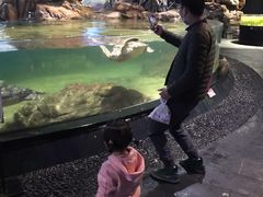 -江和美海洋公园