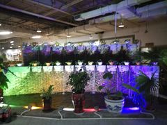 大堂-红栌温泉山庄生态美食餐厅