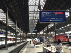 -戴高乐机场火车站