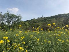 -苏州上方山国家森林公园