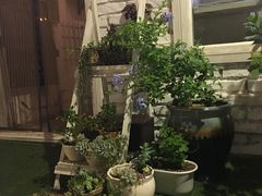 -一杯海(国际海水浴场店)