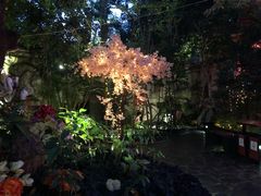 -海口观澜湖火山温泉谷